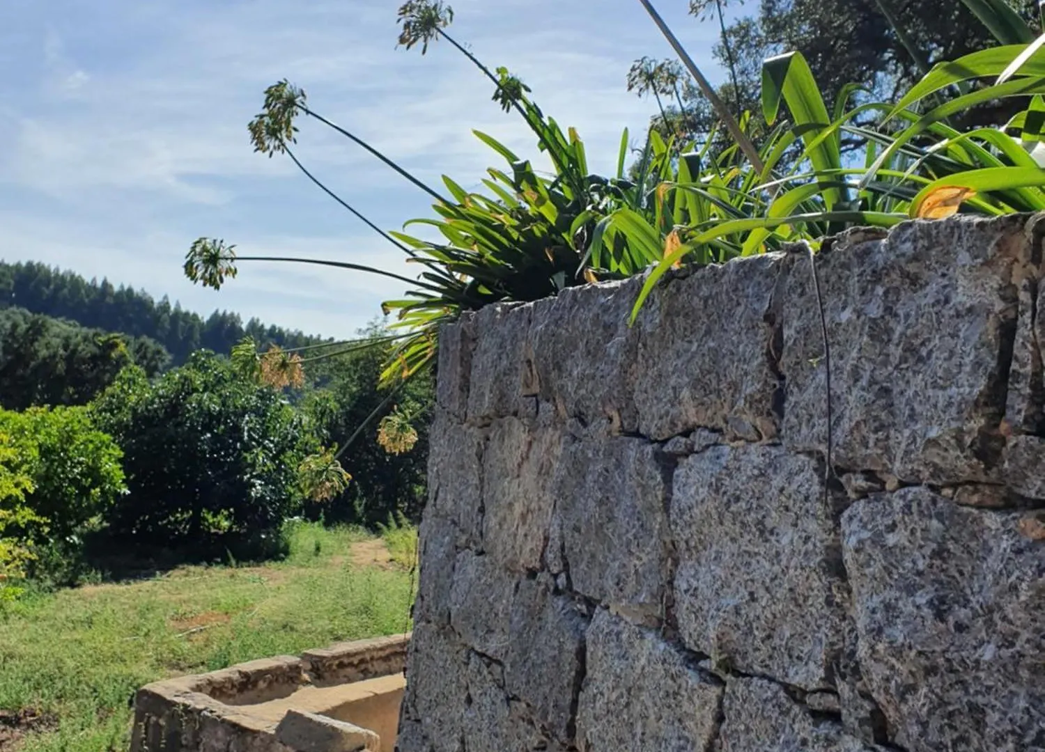 Casinha Laranja Villa Monchique Portugal