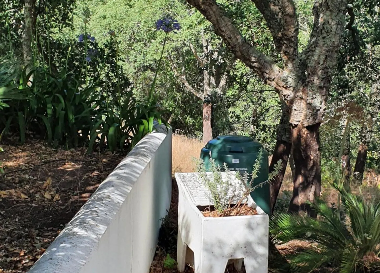 Holiday home Casinha Laranja Villa Monchique Portugal